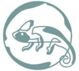 myholisticholidays.es